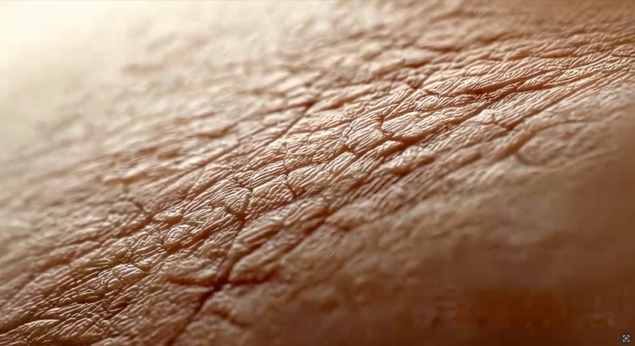 screenshot 2025 08 17 at 11.20.14 am