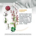 moraz 皮膚靈全效護理油